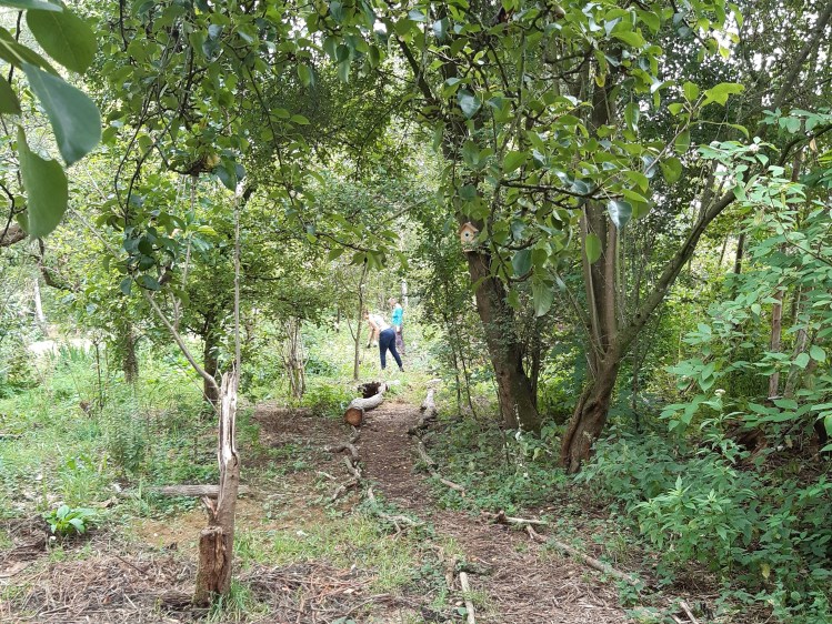 Leren over de natuur in jouw tuin