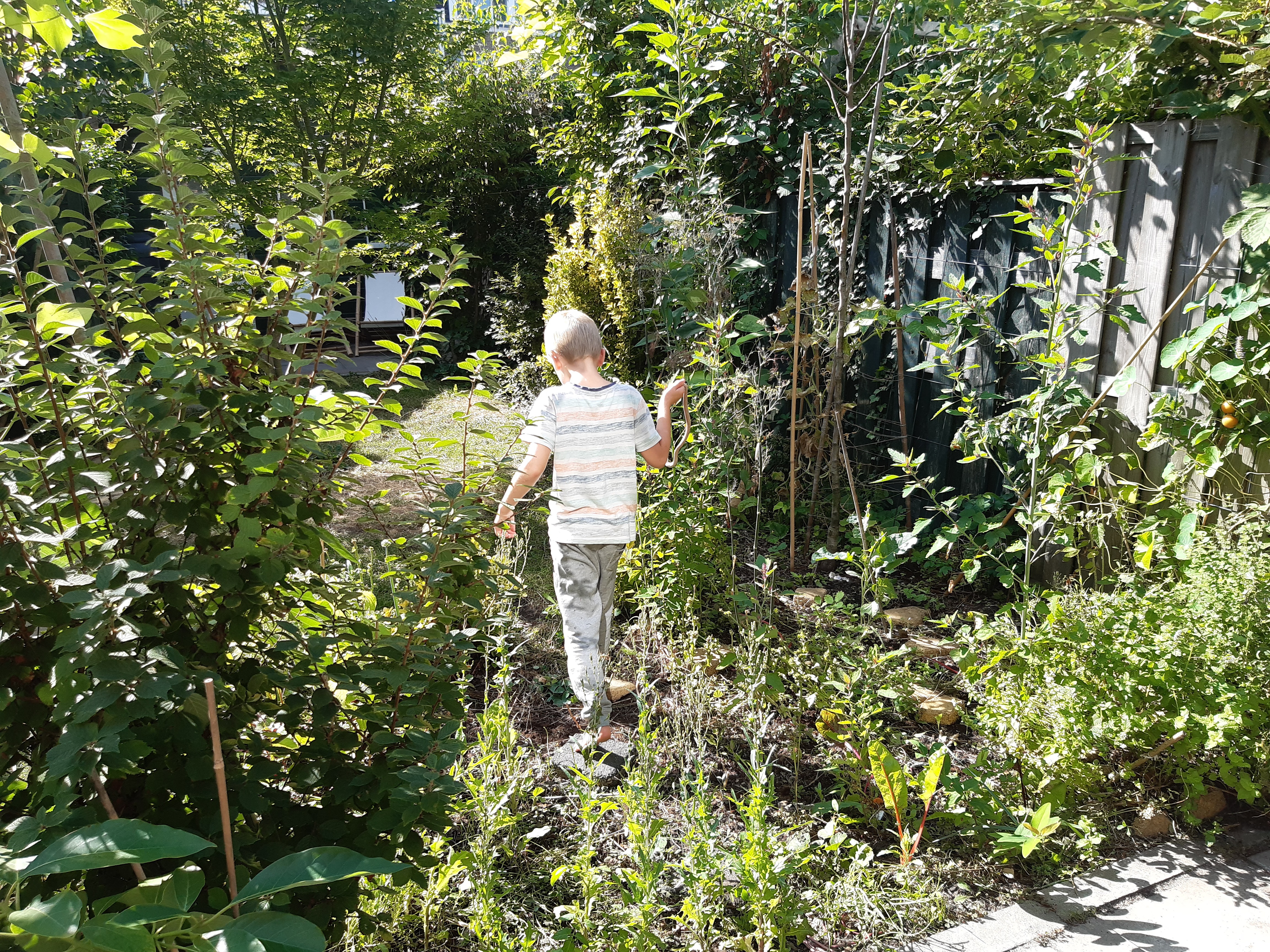 Tuincoaching en tuinadvies helpt je op weg naar een groene natuurlijke ecologische tuin vol biodiversiteit.